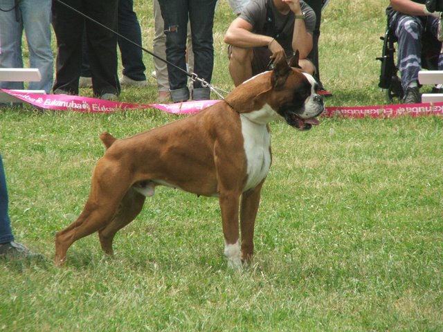 URTAO URTAO