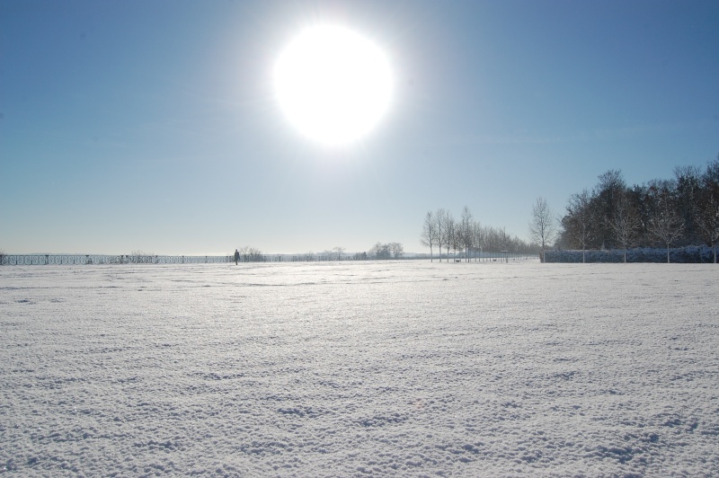 dsc_1210.jpg