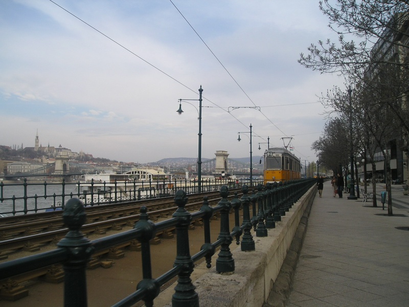 p4081411.jpg