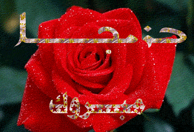 صورة
