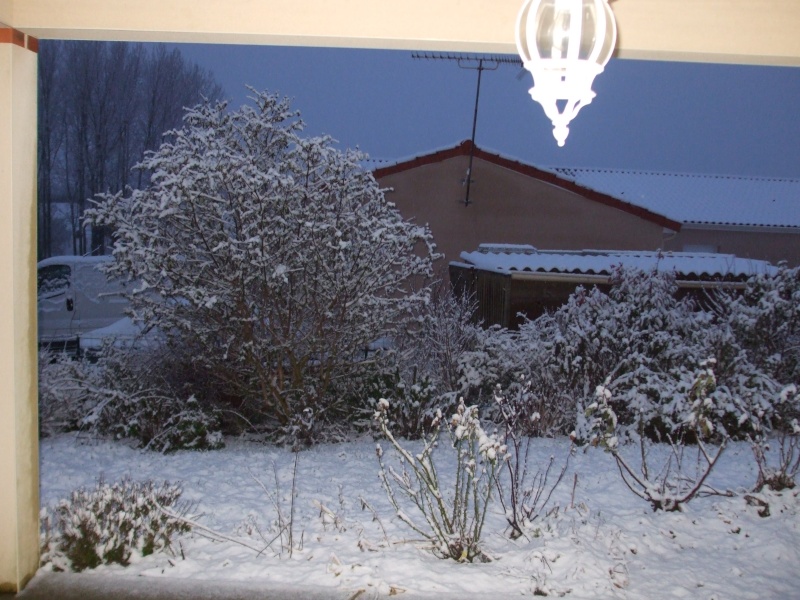dscf3311.jpg