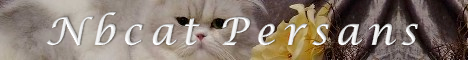 Nbcat Persans