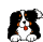 Admin chien Admin chien
