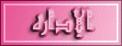 نائب المدير العام نائب المدير العام