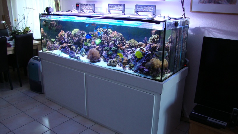 Le brassage Aquarium récifal / aquarium marin / aquarium eau de mer -  Reefguardian