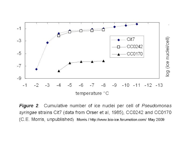 Ice Nucleating Protein