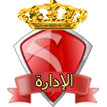 مدير مدير
