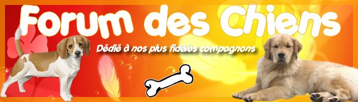 Forum des chiens