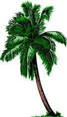 palmi141.gif