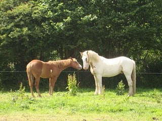 Chtite rencontre