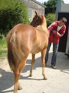 Chtite rencontre
