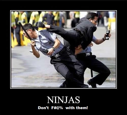 ninjas10.jpg