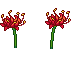 flower12.png