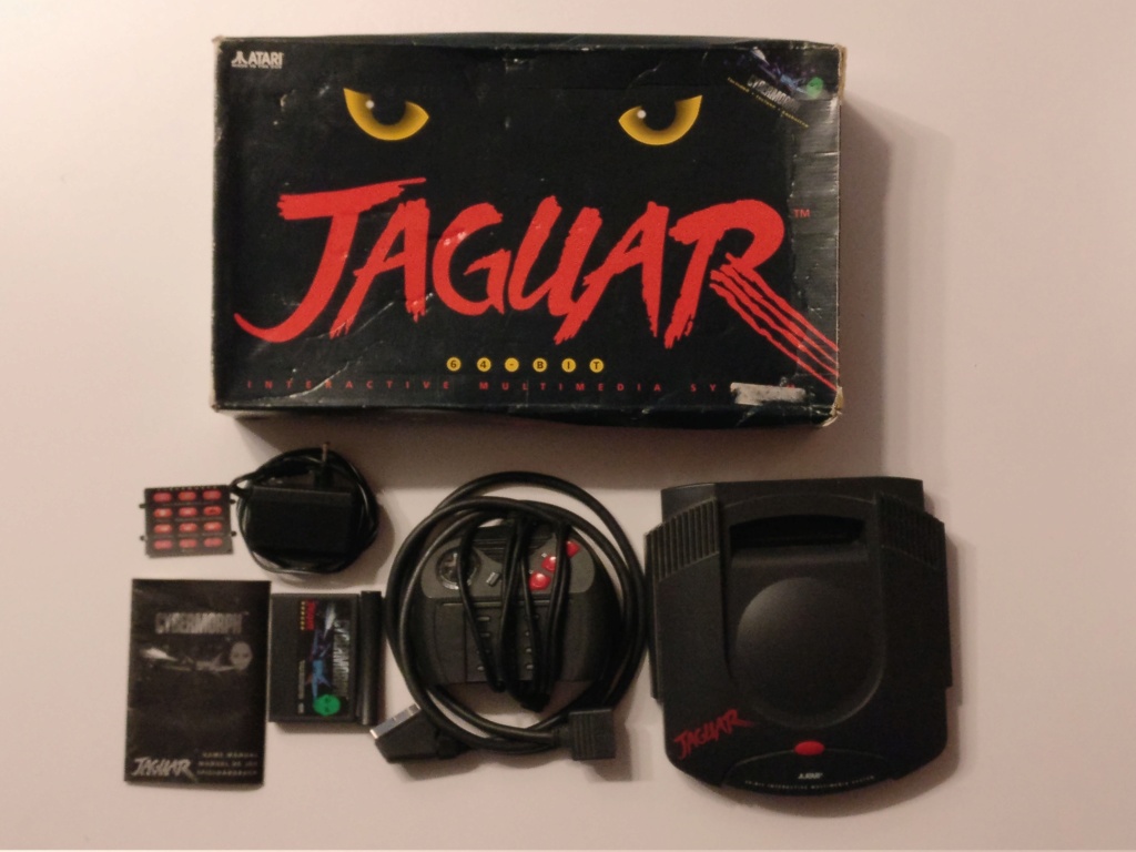 jaguar10.jpg